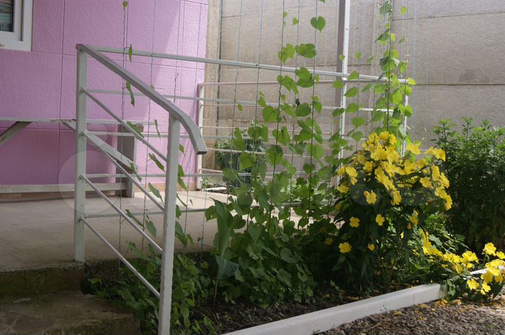 Дом 100 м² на участке 5 сот.