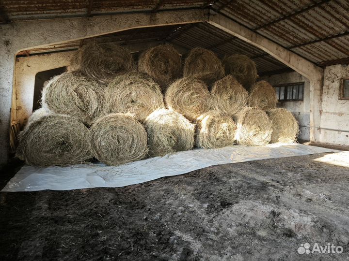 Сено в рулонах