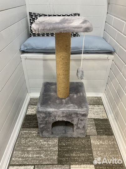 Когтеточка-столбик 