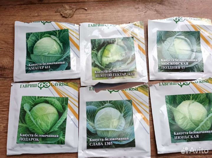 Рассада капусты