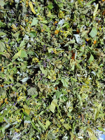 Лечебные травы и сборы