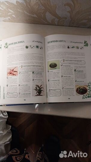 Книга энциклопедия