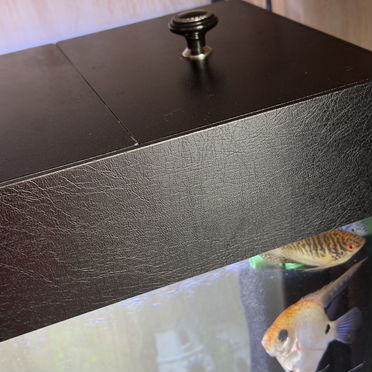 Аквариум с рыбками или без