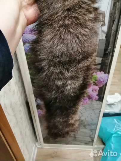 Опушка натуральная чернобурка воротник 95х13