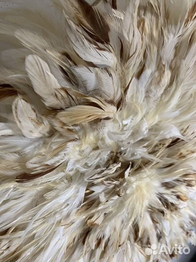 Декор на стену из перьев Камерунская шляпа