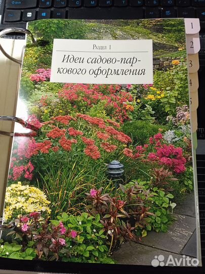 Папка сад моей мечты