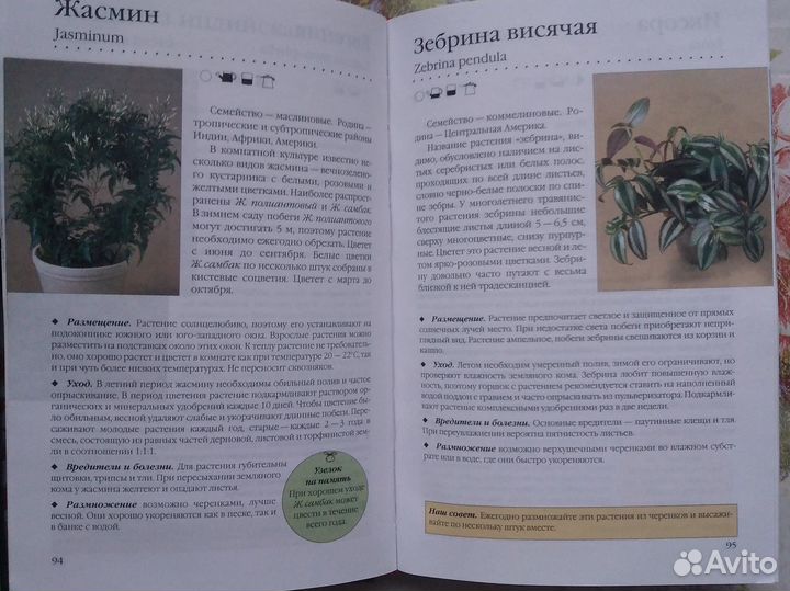 Книга о комнатных растениях