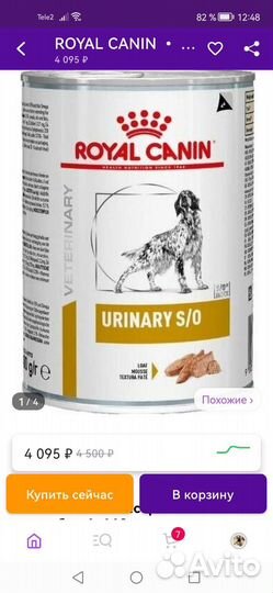 Корм для собак роял канин влажный