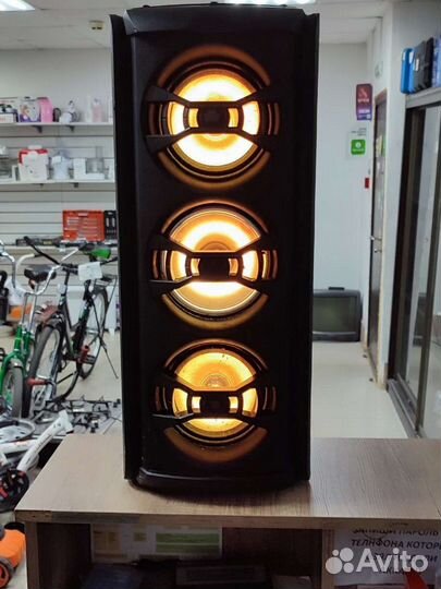 Напольная портативная колонка Telefunken TF MS2211