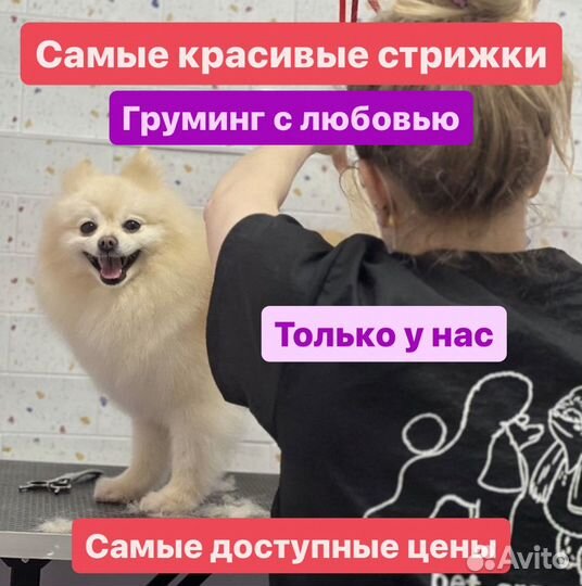 Стрижка собак всех пород