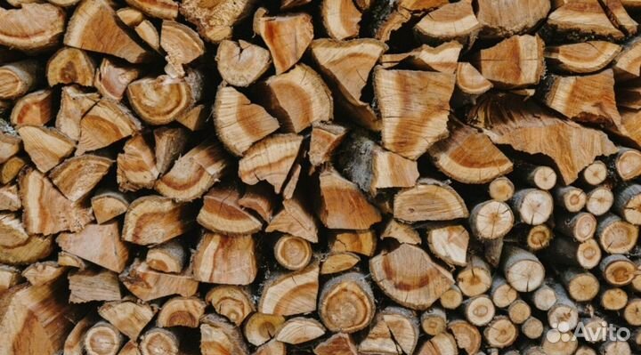 Дрова колотые дуб