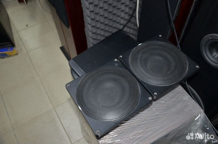 Динамики нч 8