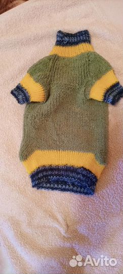 Одежда для кошек и мелких собак