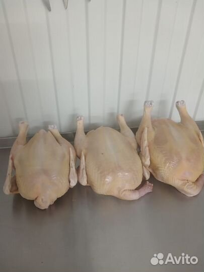 Мясо курицы Самара