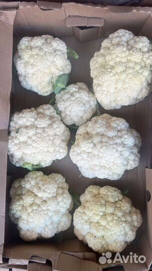 Капуста и кабачки