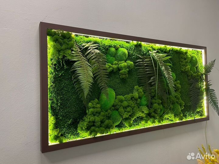 Фитокартина для зеленого интерьера Арт: 215832
