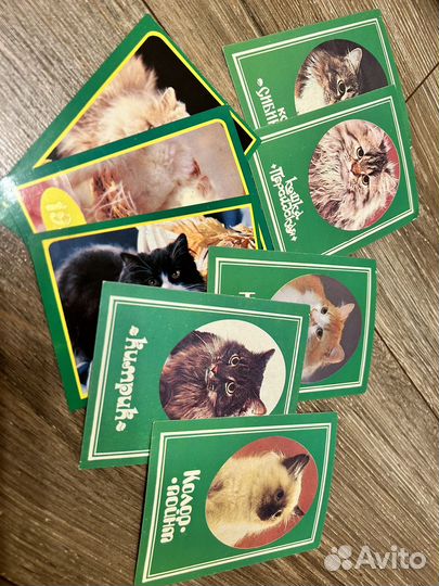 Календарики