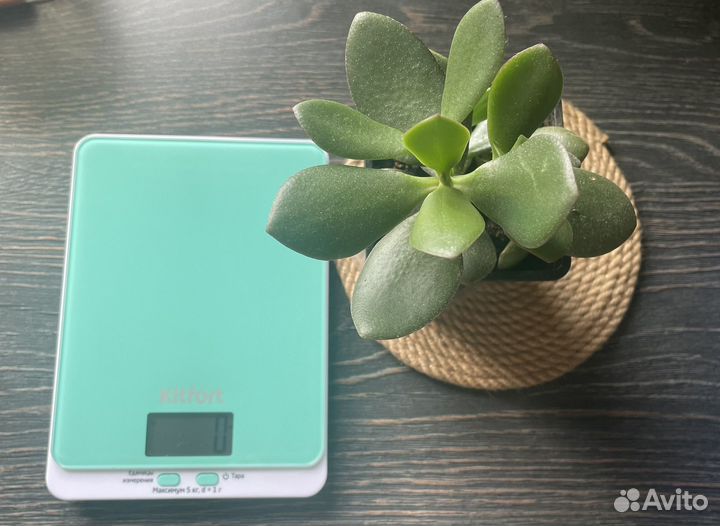 Весы кухонные kitfort 803-1 новые