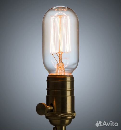 Винтажная лампа Эдисон Radios Squirrel Сage (Т45)