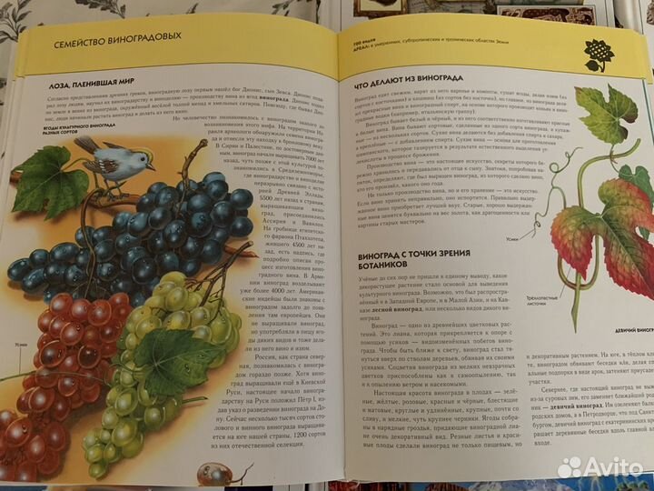 Полная энциклопедия. Издательство «эксмо»