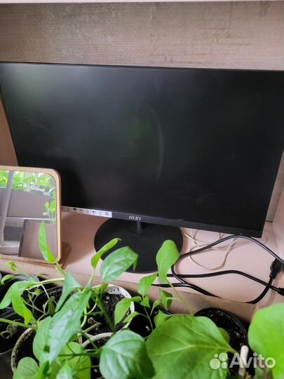 Монитор для компьютера msi
