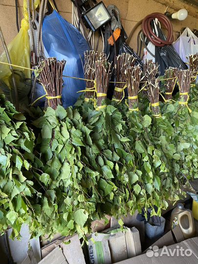 Веники для бани