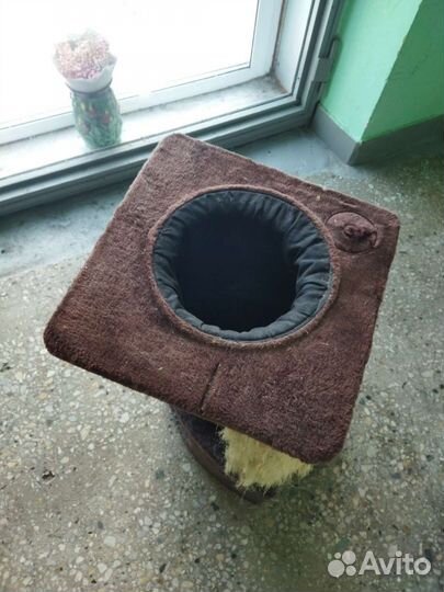 Для кошек домик