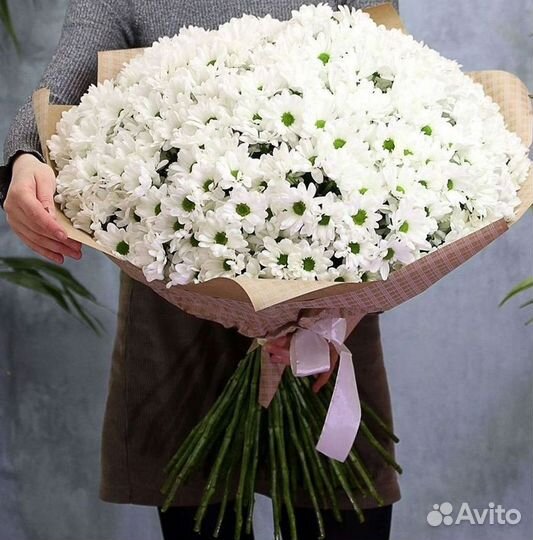 Хризантема Доставка цветов