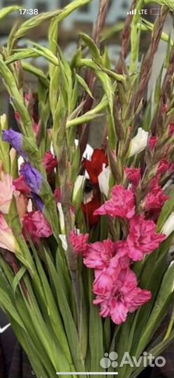 Гладиолусы букет