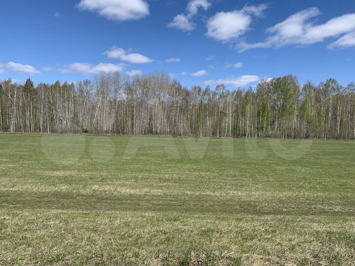 Участок 2 га (СНТ, ДНП)