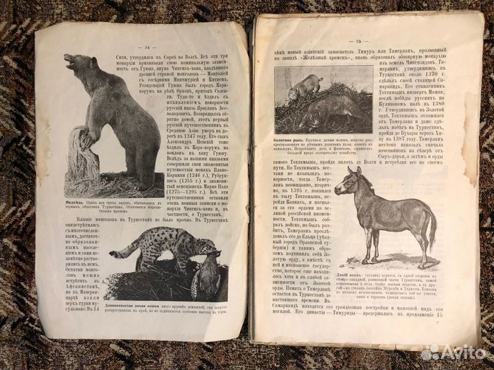 Туркестан. География и история края, 1916