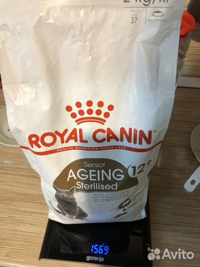 Корм дя кошек