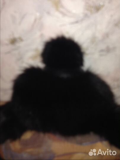 Шапка песцовая