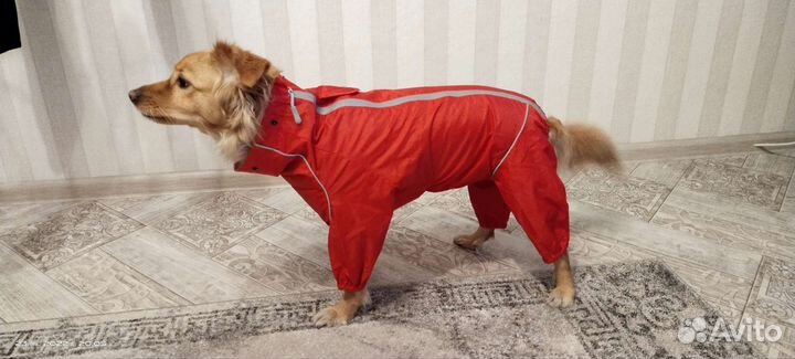 Дождевик-комбинезон