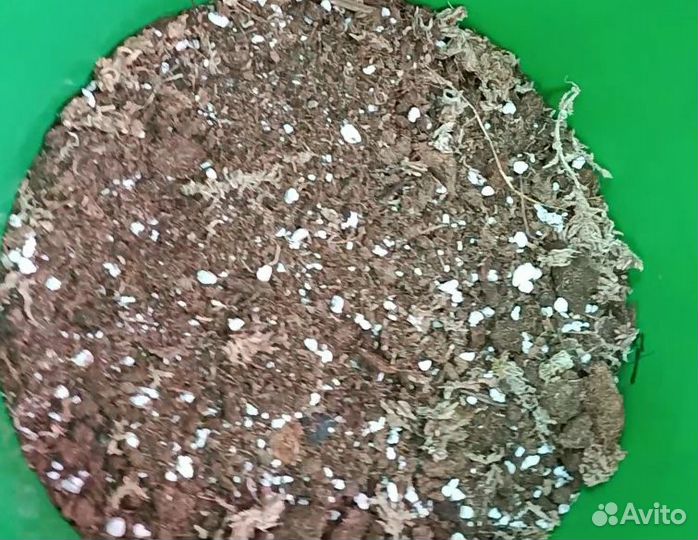 Смесь авторская