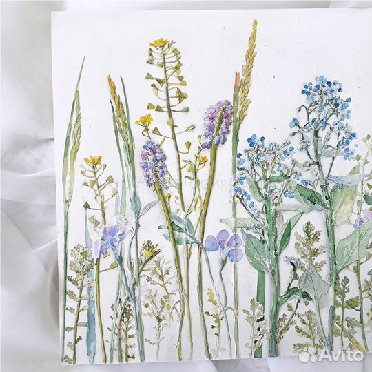 Ботанический барельеф 