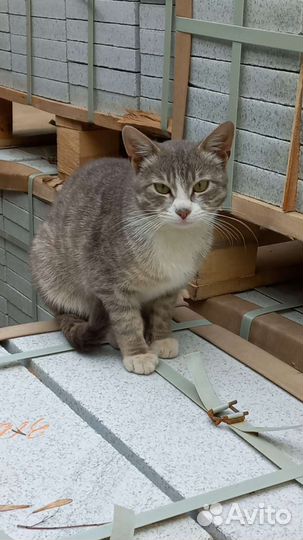 Настоящий пацан