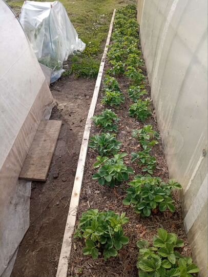 Дом 29,7 м² на участке 10 сот.