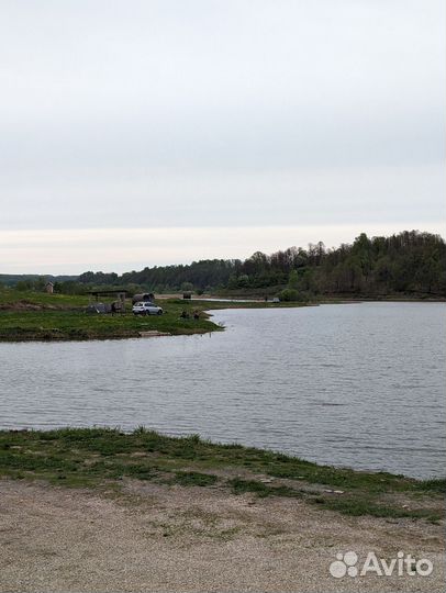 Платная рыбалка Пчела