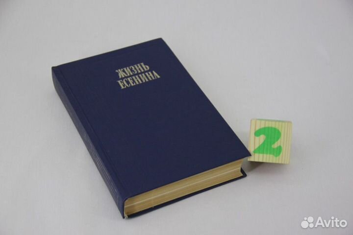 Жизнь Пушкина