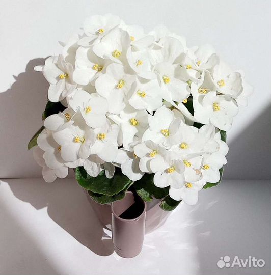 Фиалки промышленные (детки)