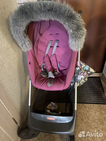 Коляска stokke scoot