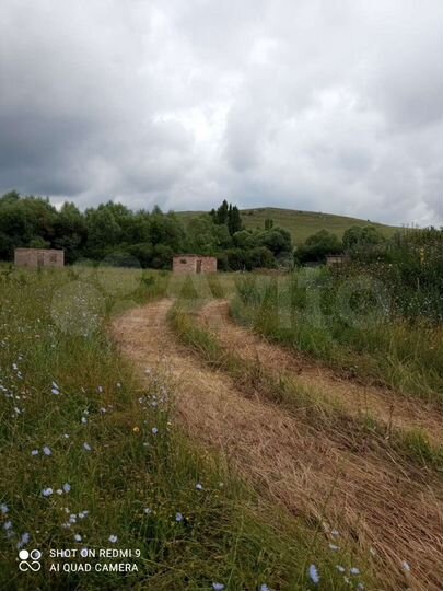 Участок 50 сот. (ИЖС)