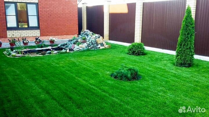 Рулонный газон под ключ