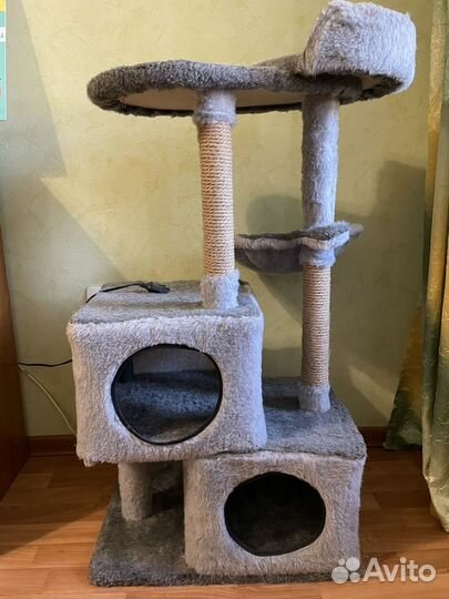 Когтеточка