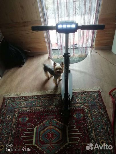 Самокат взрослый электрический бу