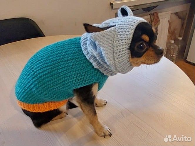 Одежда для маленьких собак