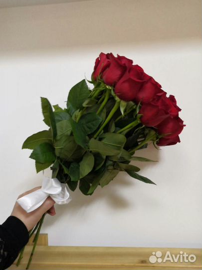 Красная роза 001