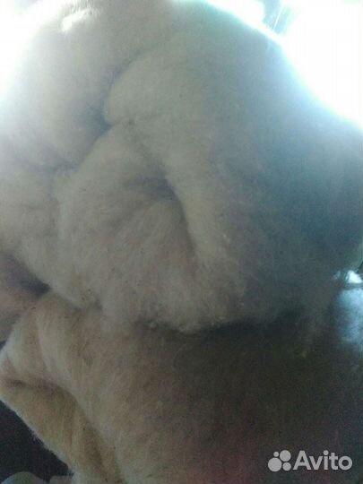 Шерсть овечья