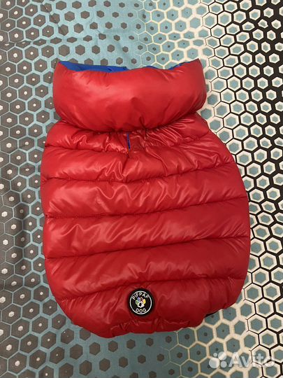 Зимняя куртка для собаки